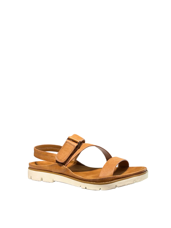 Miss Sweet Zelda-3