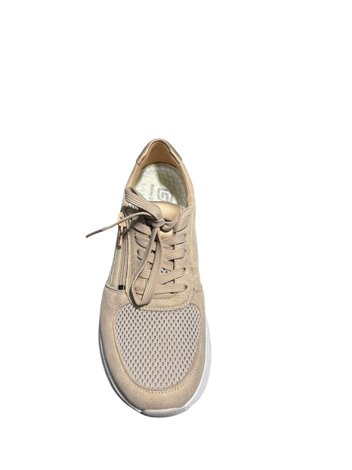 G Comfort 1561