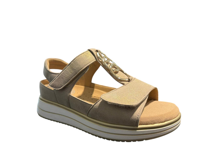 G Comfort 664