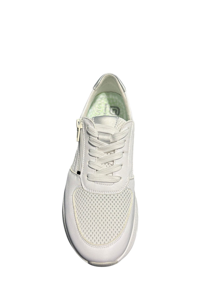 G Comfort 1561