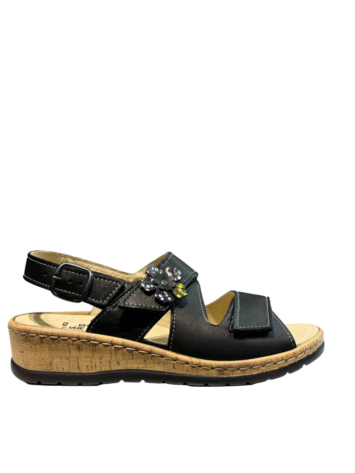 Volks Walkers 43242