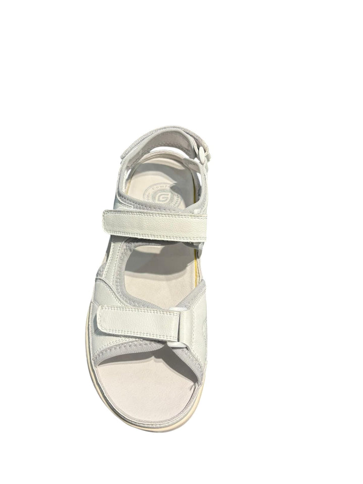 G Comfort 8623