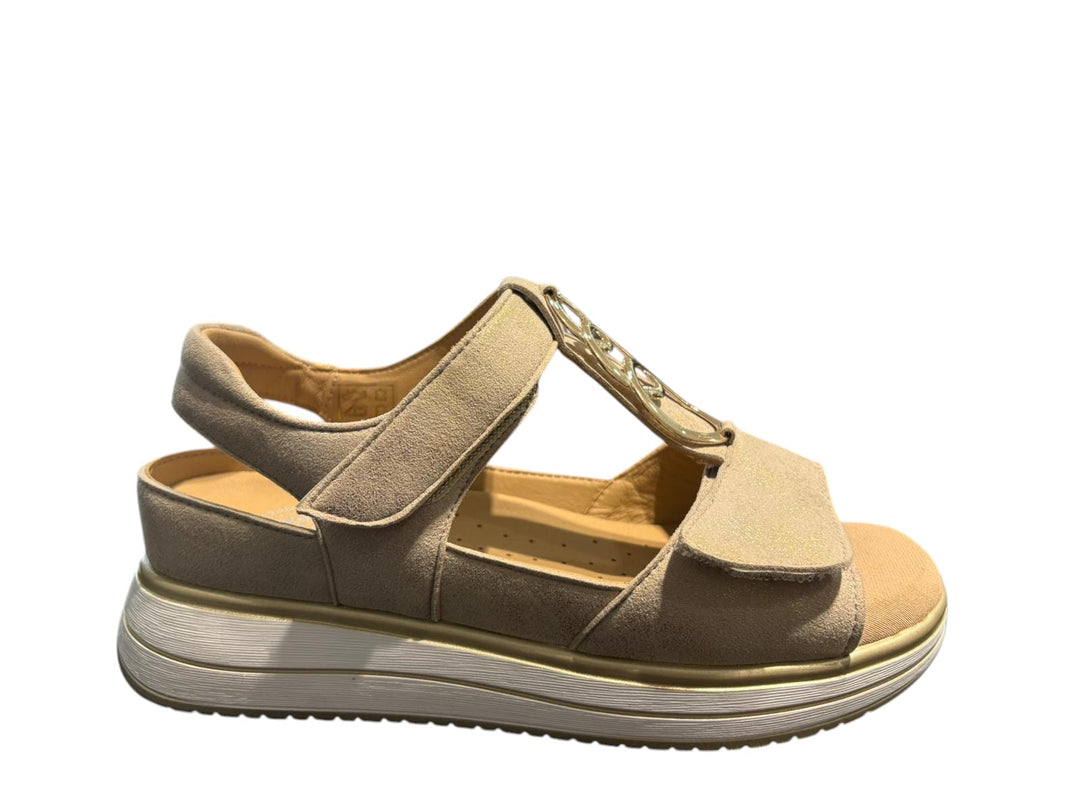 G Comfort 664