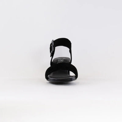 Ara 20507