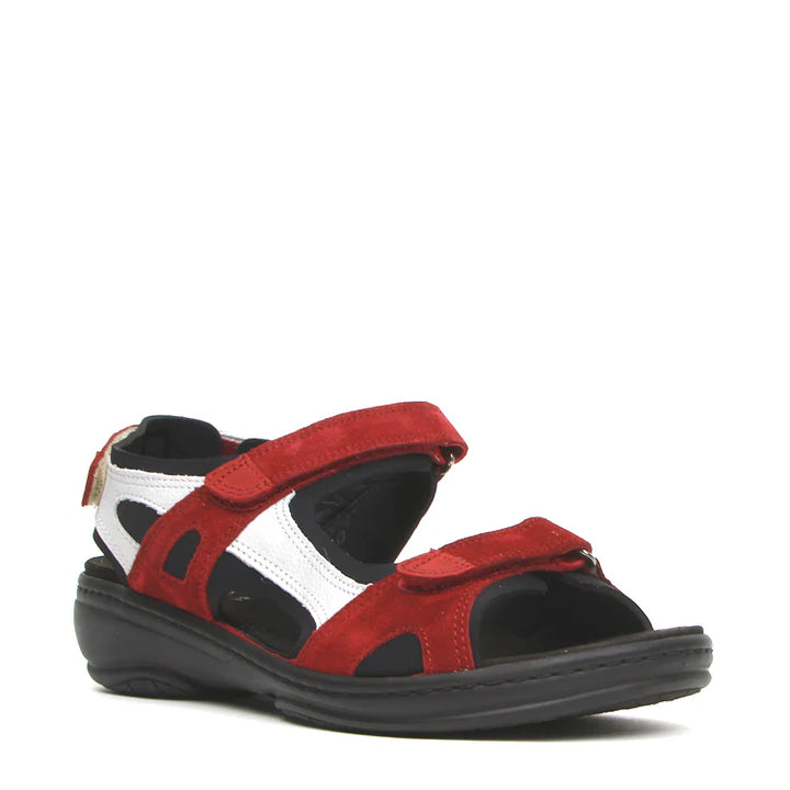 Fidelio 445007